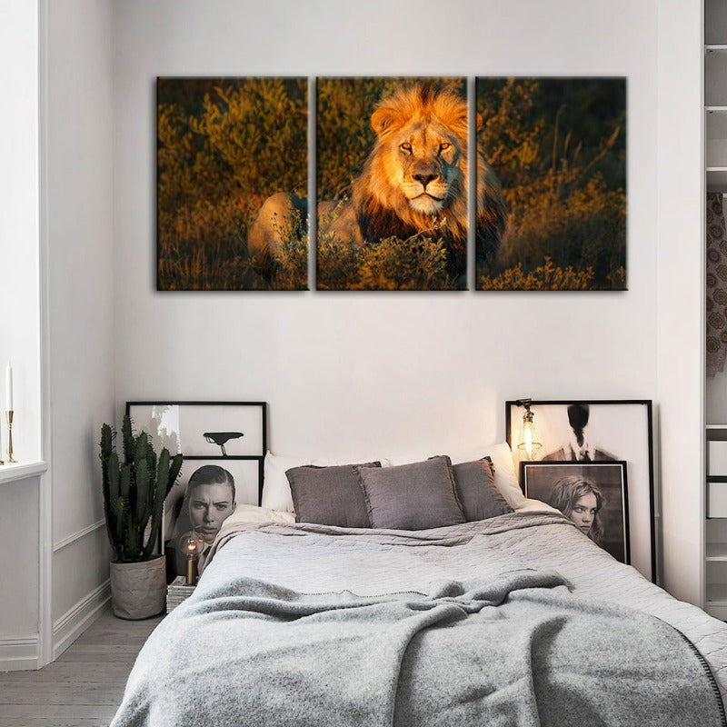 Divine Sunset Lion-Canvas Wall Art Painting 3 Pieces