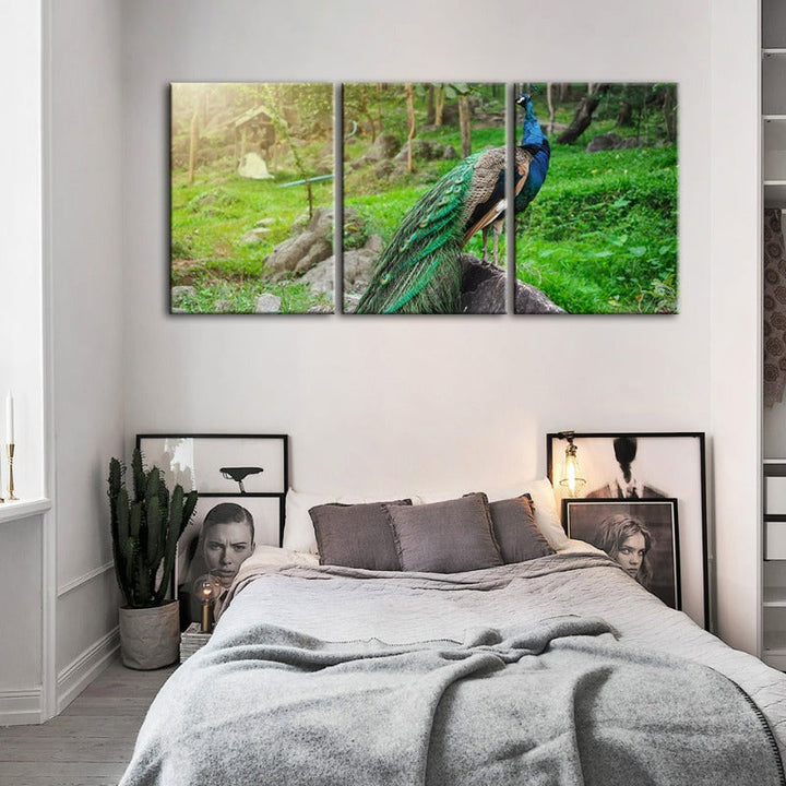 Dignified Sunlit Peacock-Canvas Wall Art Painting 3 Pieces