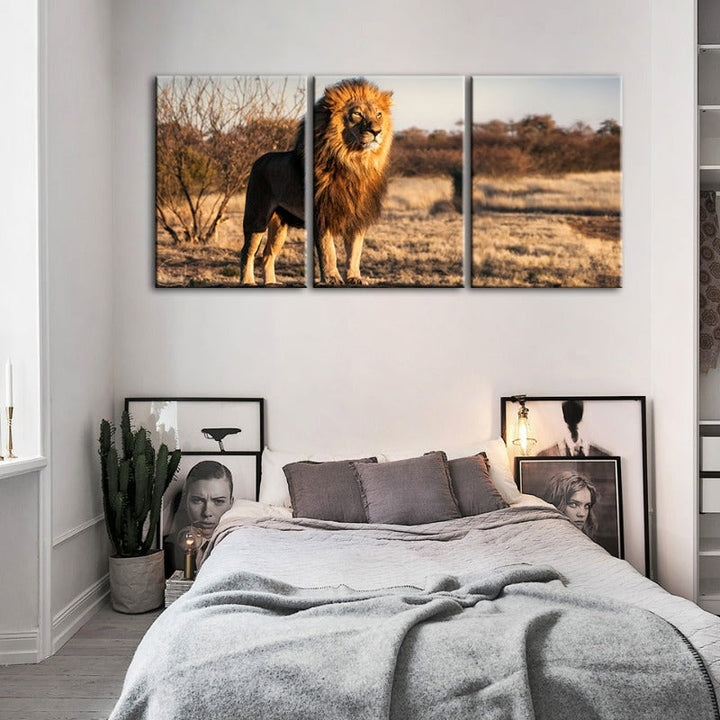 Majestic Lion Bathed In Sunlight-Canvas Wall Art Painting 3 Pieces