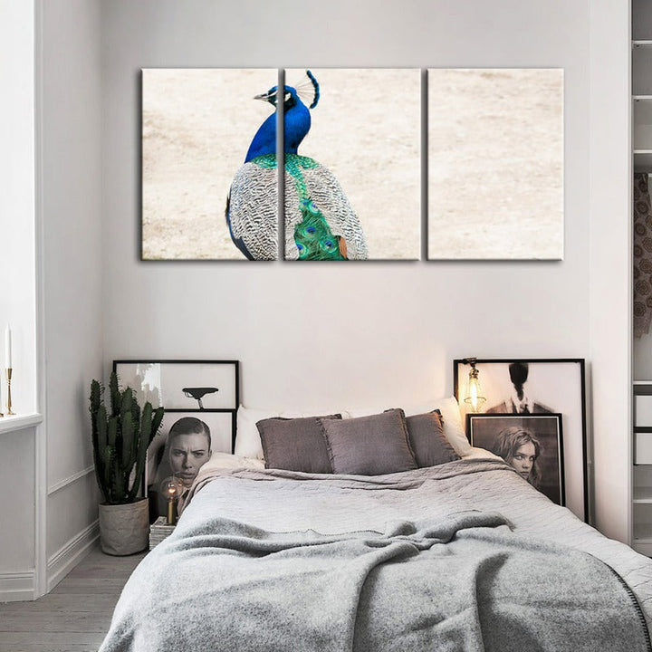 Skirted Elegant Peacock-Canvas Wall Art Painting 3 Pieces