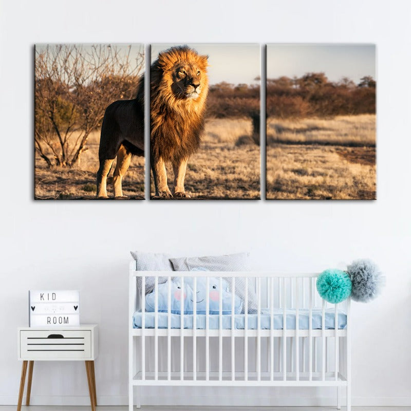 Majestic Lion Bathed In Sunlight-Canvas Wall Art Painting 3 Pieces