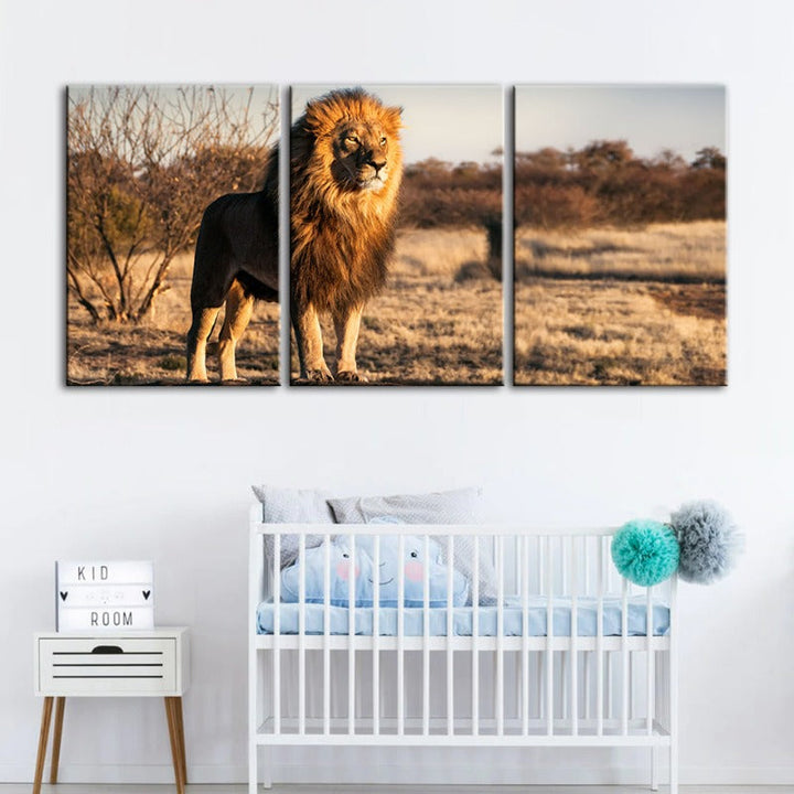 Majestic Lion Bathed In Sunlight-Canvas Wall Art Painting 3 Pieces