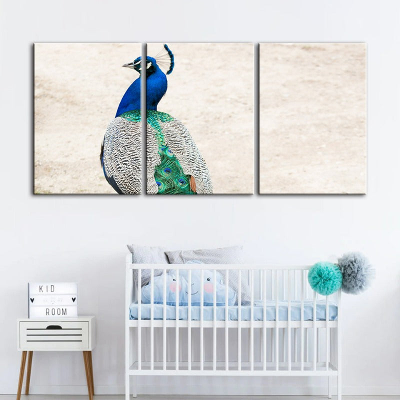 Skirted Elegant Peacock-Canvas Wall Art Painting 3 Pieces