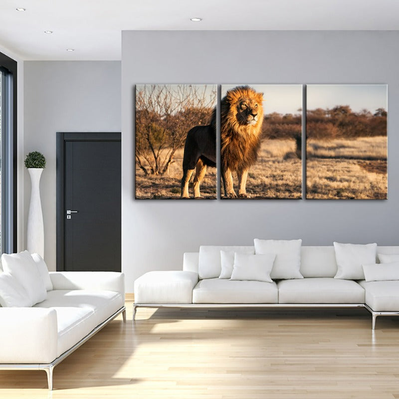 Majestic Lion Bathed In Sunlight-Canvas Wall Art Painting 3 Pieces