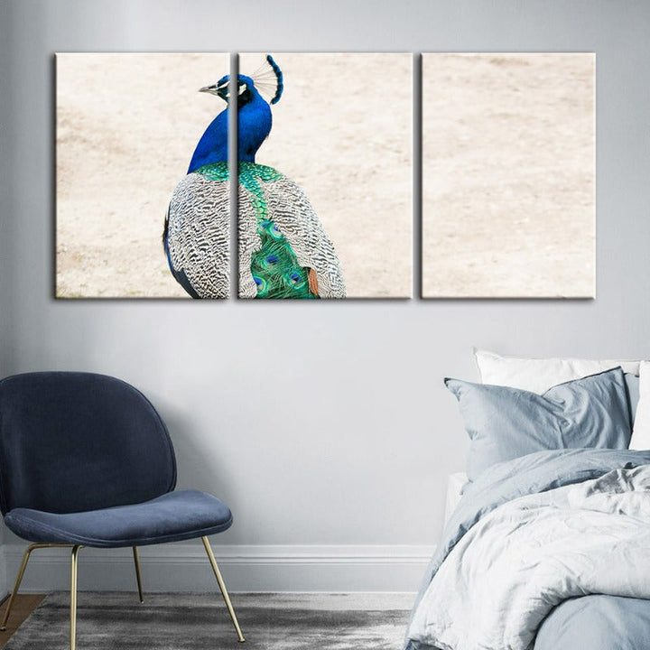 Skirted Elegant Peacock-Canvas Wall Art Painting 3 Pieces