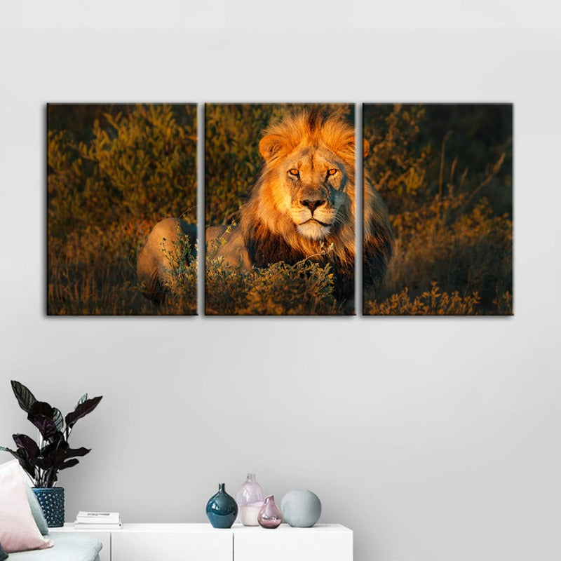 Divine Sunset Lion-Canvas Wall Art Painting 3 Pieces