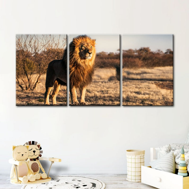 Majestic Lion Bathed In Sunlight-Canvas Wall Art Painting 3 Pieces