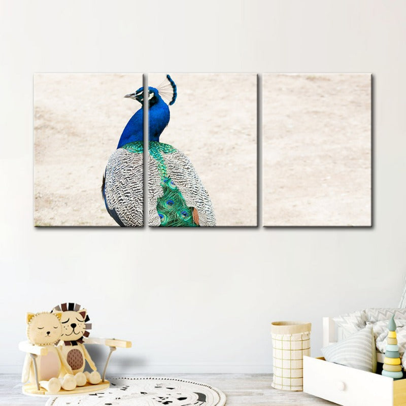 Skirted Elegant Peacock-Canvas Wall Art Painting 3 Pieces