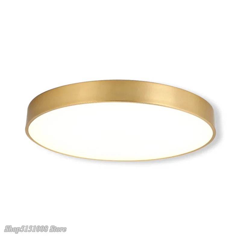 Modern Gold Acrylic Ceiling Light - Ultra-thin Surface LED Ceiling Lamp for Living Room, Nordic Bedroom Indoor Light Fixtures