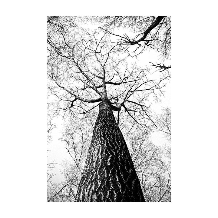 Northern Wilderness Eagle Deer Landscape Wall Art Fine Art Canvas Prints Pictures For Living Room Dining Room Nordic Home Decor