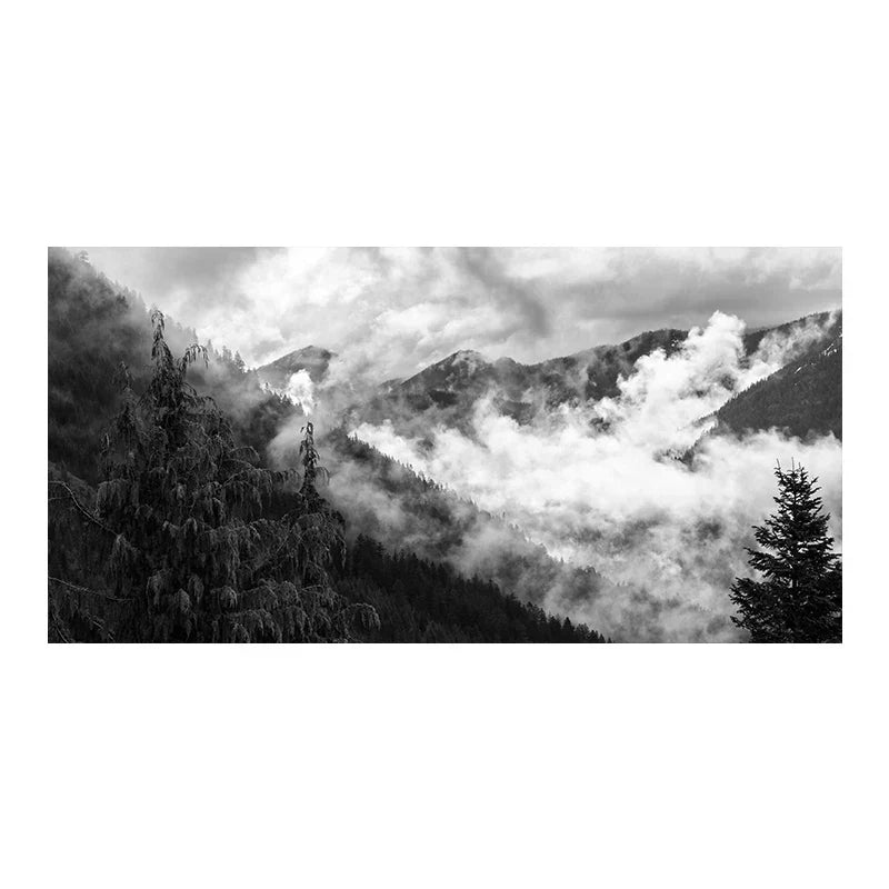 Northern Landscapes Forest Mountain Wilderness Wall Art Fine Art Canvas Prints Black White Posters For Living Room Modern Home Office Decor
