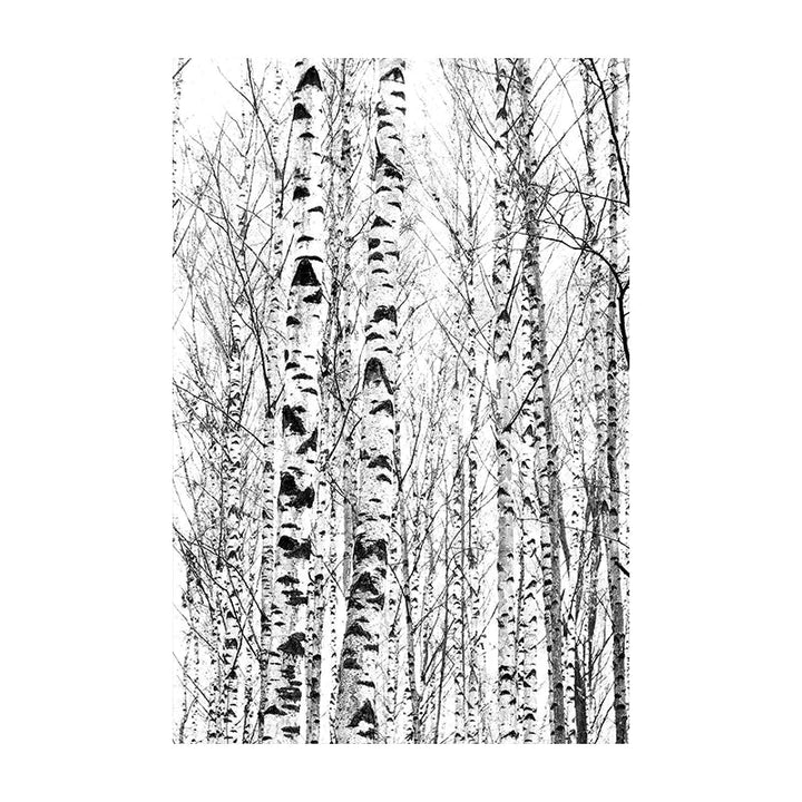Northern Wilderness Eagle Deer Landscape Wall Art Fine Art Canvas Prints Pictures For Living Room Dining Room Nordic Home Decor
