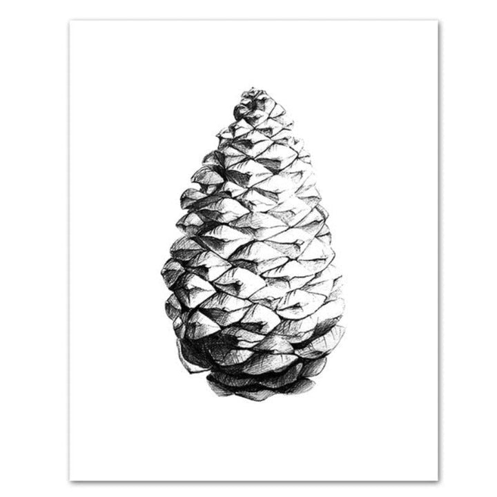 Hand Draw Pine Cone - Canvas Wall Art Painting