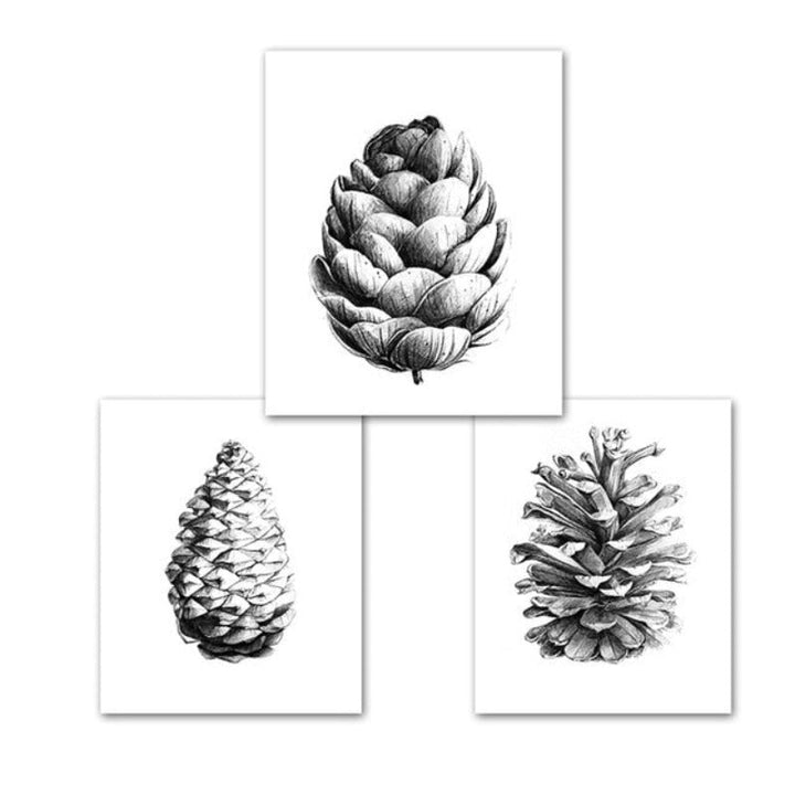 Hand Draw Pine Cone - Canvas Wall Art Painting