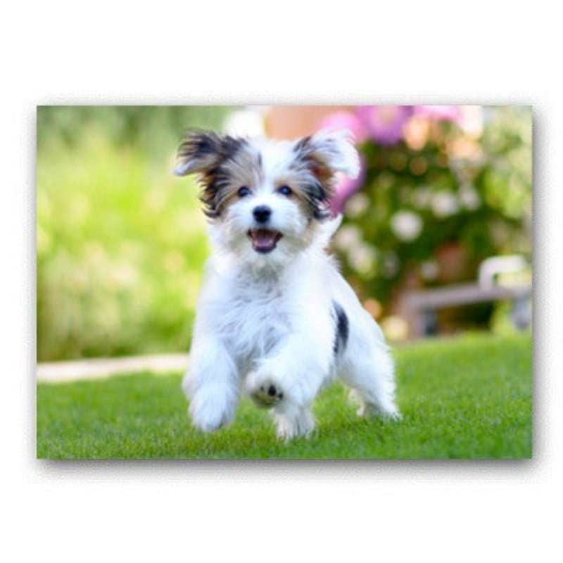 Lovely Modern Pet Dog - Canvas Wall Art Painting