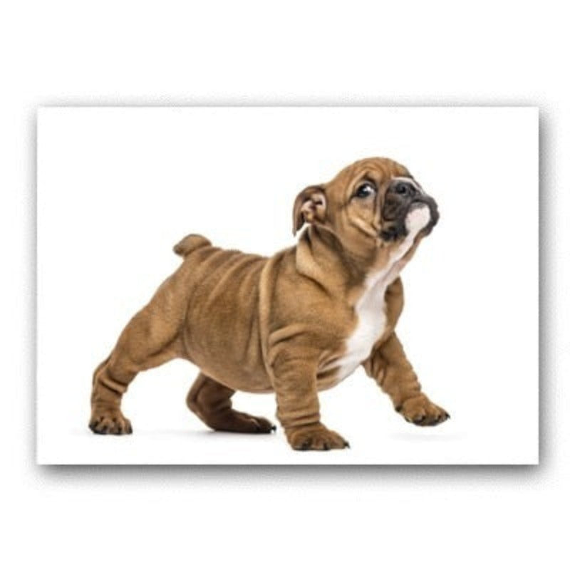 Lovely Modern Pet Dog - Canvas Wall Art Painting