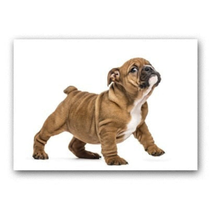 Lovely Modern Pet Dog - Canvas Wall Art Painting