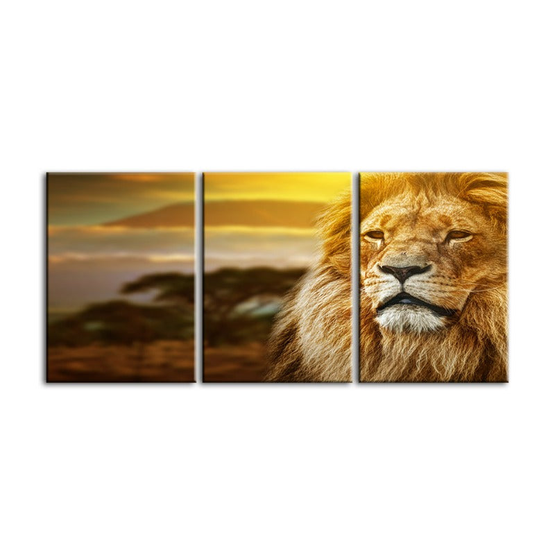 Unamused Lion-Canvas Wall Art Painting 3 Pieces