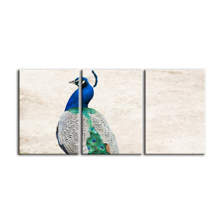 Skirted Elegant Peacock-Canvas Wall Art Painting 3 Pieces