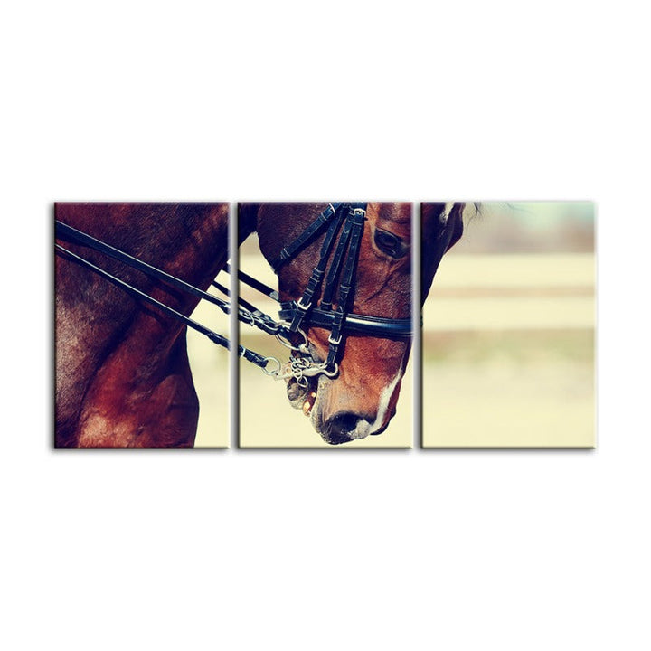 Graceful Haltered Horse-Canvas Wall Art Painting 3 Pieces